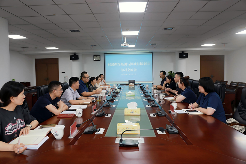 擔(dān)保面對面：共探科技賦能與高質(zhì)量發(fā)展新路徑